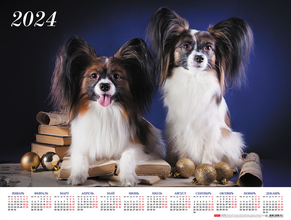 Календарь листовой 2024 А2 "Ушки на макушке" 598х450мм бум. мелован.